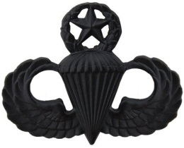 Airborne Parachutist Badge Master Subdued Metal Airborne Parachutist Badge Master Subdued Metal